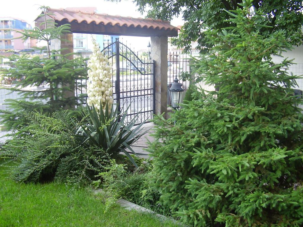 Terra Guest House Ravda Ngoại thất bức ảnh
